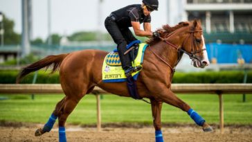 Is the Kentucky Derby fun?