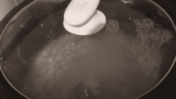 Is the rice cooker supposed to bubble?