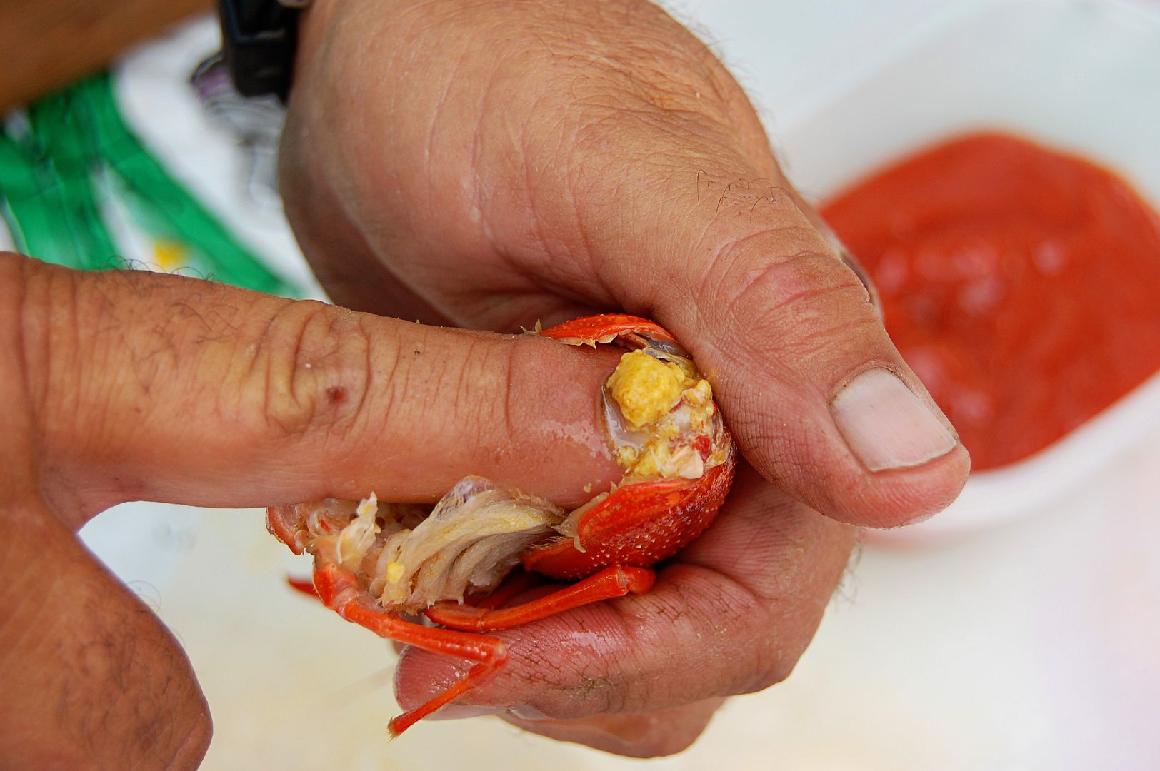 Is the yellow stuff in crawfish poop? - Foodly