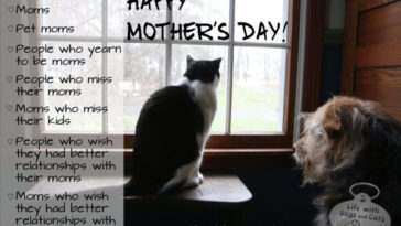 Is there a Mother's Day for pet owners?