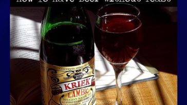 Is there a beer without yeast?