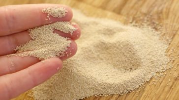 Is there a difference between active dry yeast and instant yeast?