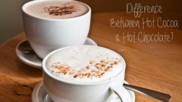 Is there a difference between hot cocoa and hot chocolate?