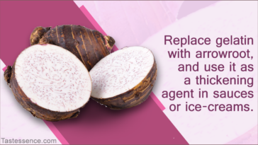 Is there a substitute for gelatin?