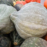 Is there another name for Hubbard squash?