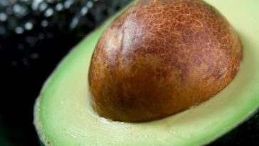 Is there any use for an avocado pit?
