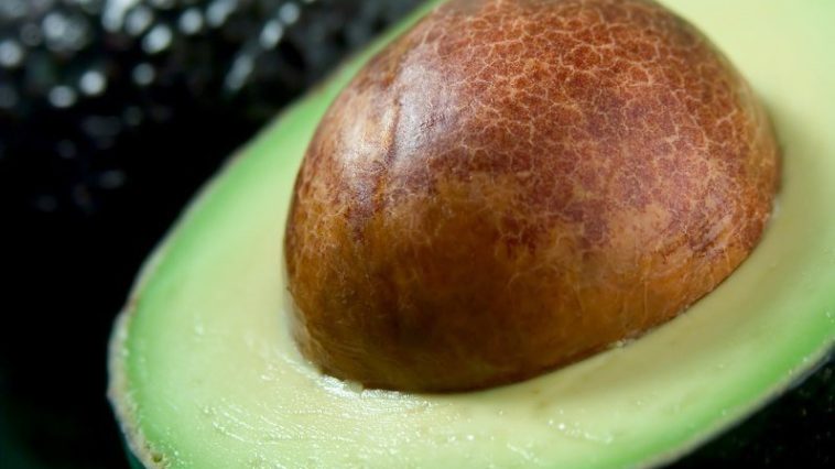 Is there any use for an avocado pit?
