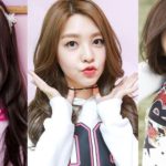 Is turkey berry good for heart?