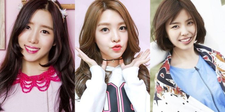 Is turkey berry good for heart?