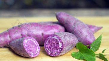 Is ube a fruit or vegetable?