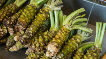 Is wasabi good for health?