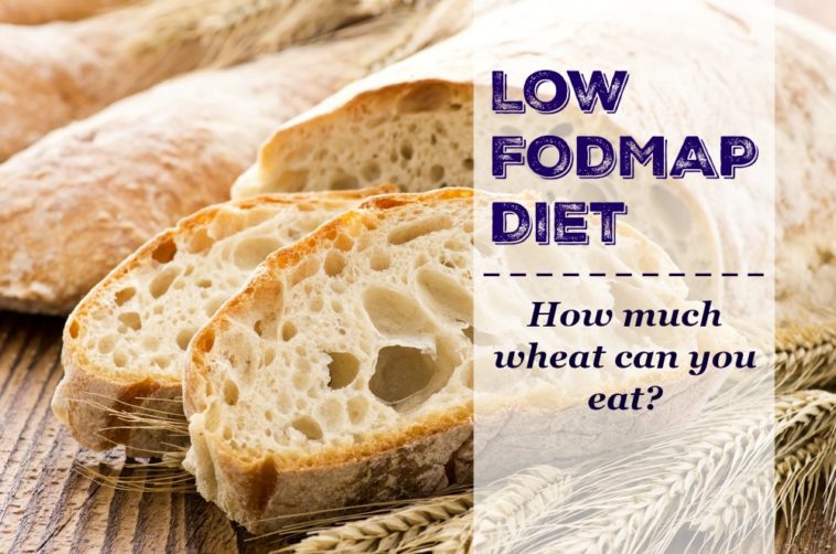 Is wheat gluten Low FODMAP?