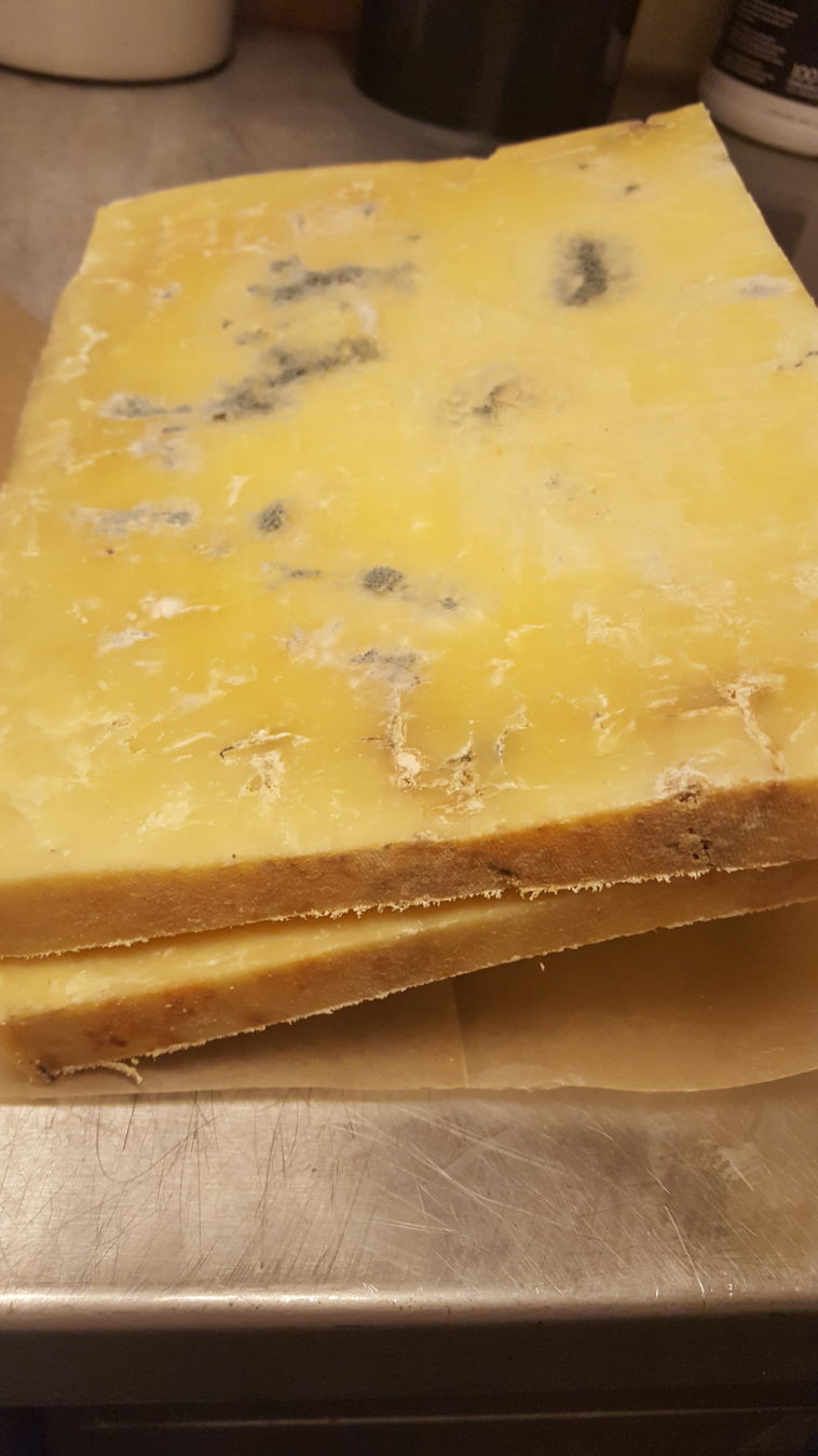 Is white mold on cheddar cheese harmful?