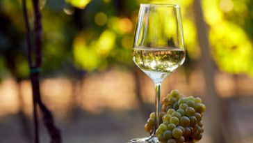 Is white wine made from white grapes?