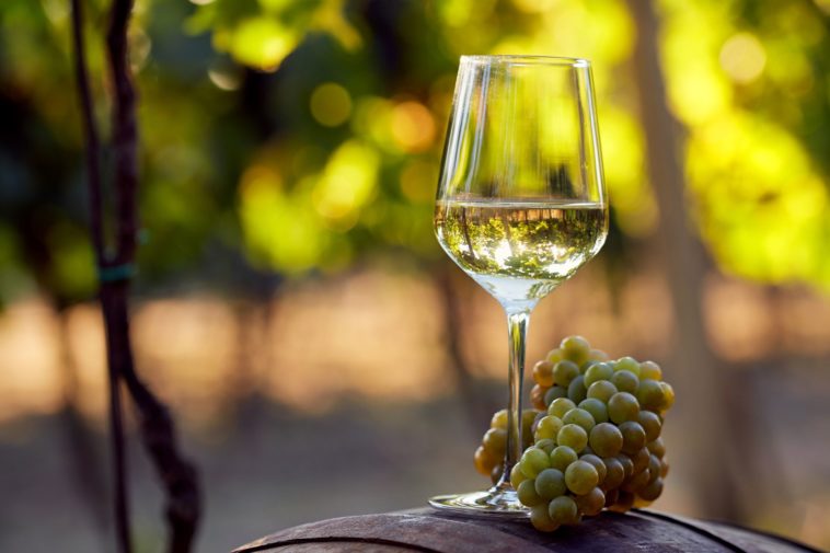 Is white wine made from white grapes?