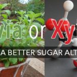 Is xylitol or stevia better?