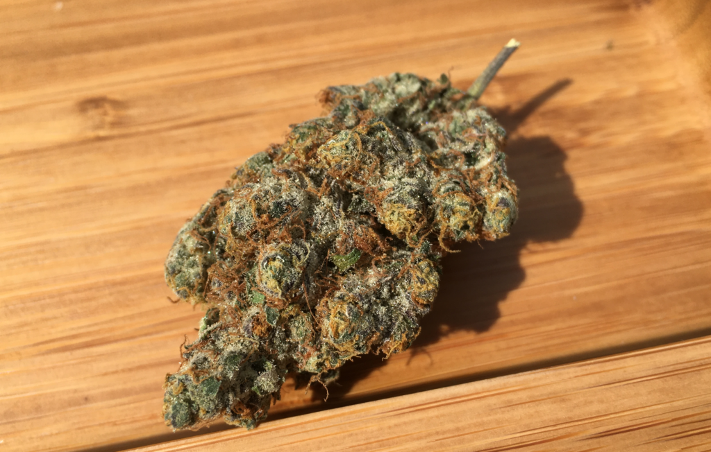 Is Kush mint exotic?