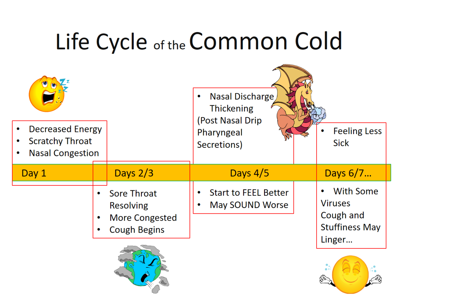 what-are-the-stages-of-a-head-cold