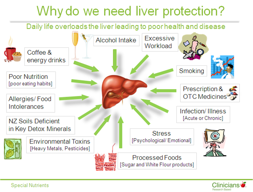 Energy power global excessive vegetable. Liver Health. Health risks. Liver Health Vital