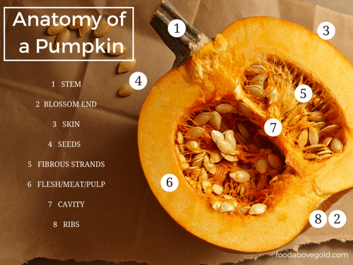 What parts of a pumpkin are edible?