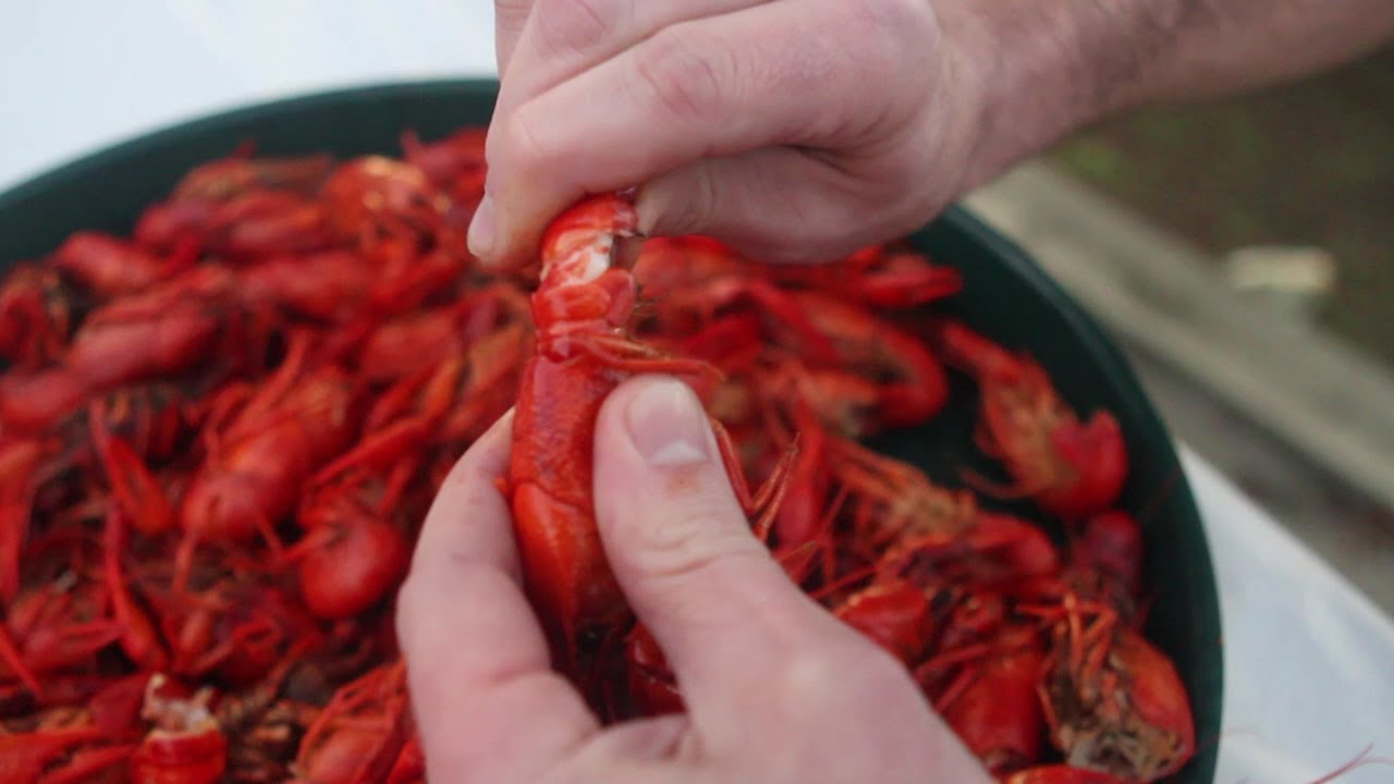 Is it OK to eat crawfish eggs? - Foodly
