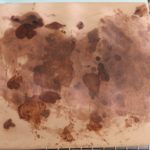 Should I oil my pizza stone?