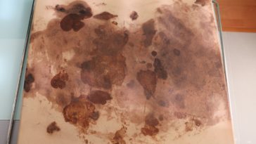 Should I oil my pizza stone?