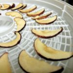Should I peel apples before dehydrating?