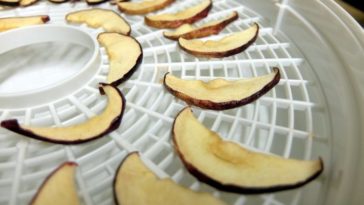 Should I peel apples before dehydrating?