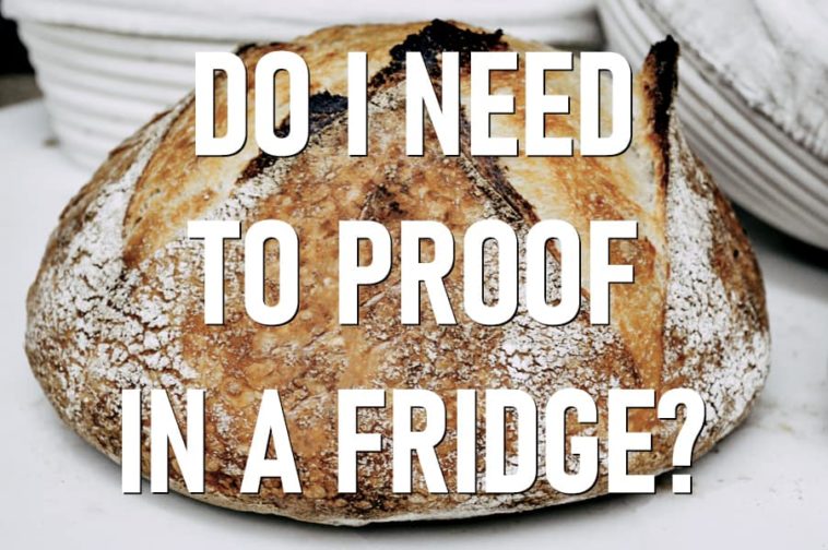 Should I proof my sourdough in the fridge?