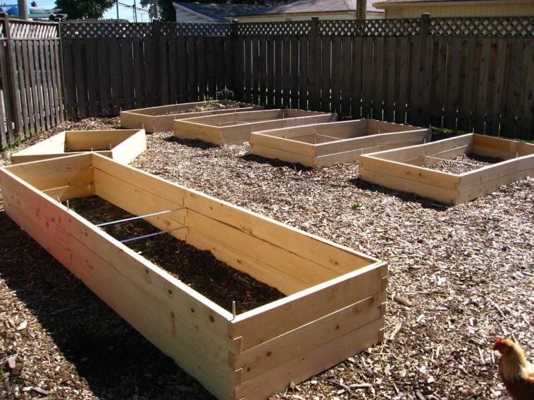 Should I Put Rocks In The Bottom Of My Raised Garden Bed - What To Put At Bottom Of Raised Garden Bed