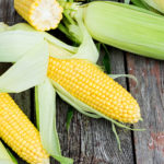 Should I put sweet corn in the fridge?