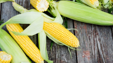 Should I put sweet corn in the fridge?