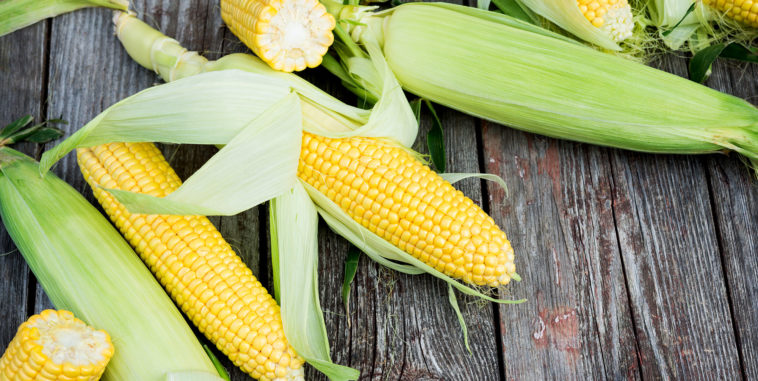 Should I put sweet corn in the fridge?