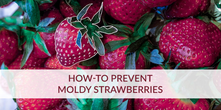 Should I throw away all strawberries if one is moldy?
