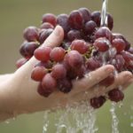 Should I wash grapes before making wine?