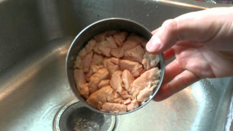 Should dogs eat canned chicken?