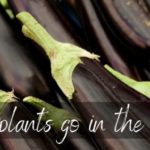 Should eggplant be refrigerated?