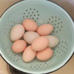 Should fresh eggs be washed?
