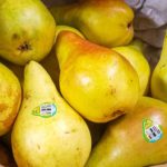 Should pears be soft or crunchy?