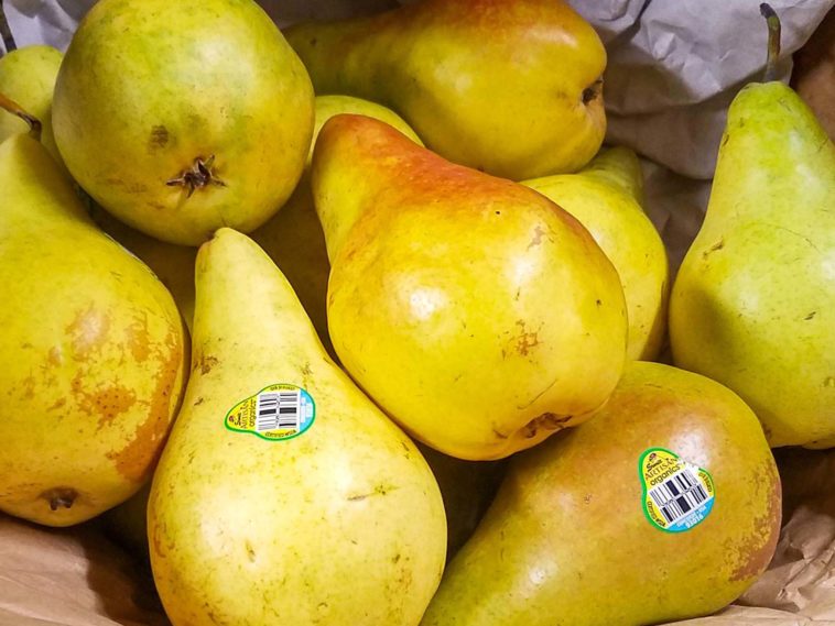 Should pears be soft or crunchy?