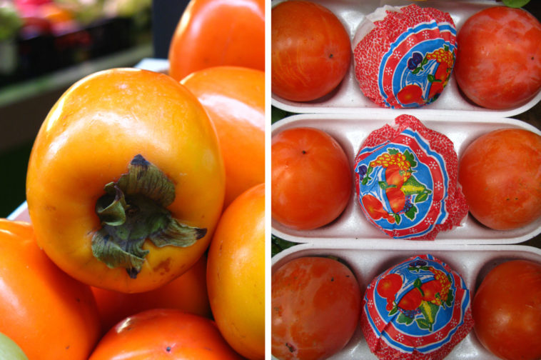 Should persimmons be soft or hard?