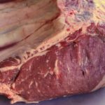 Should you cut bones off prime rib?