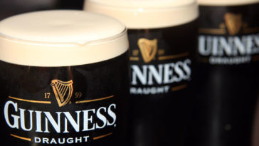 Should you drink Guinness out of the can?