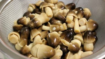 Should you rinse canned mushrooms?