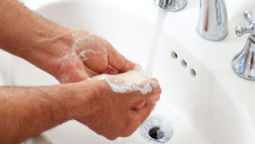 Should you wash chanterelles?