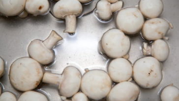 Should you wash mushrooms?