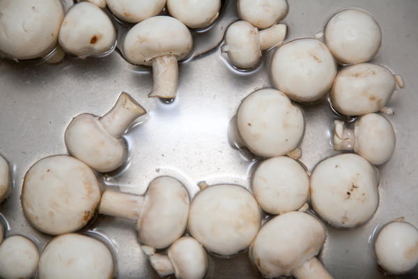 Should you wash mushrooms?