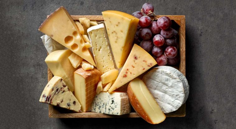 what-is-the-healthiest-cheese-for-weight-loss