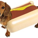 What animal parts are in hot dogs?